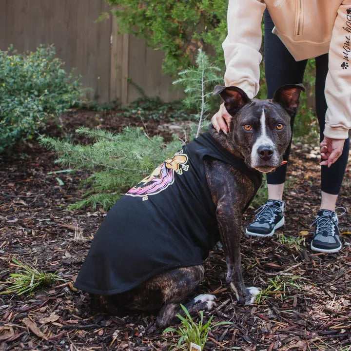 Halloween Dog Costume | Coquette Pumpkin